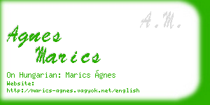 agnes marics business card