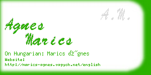 agnes marics business card